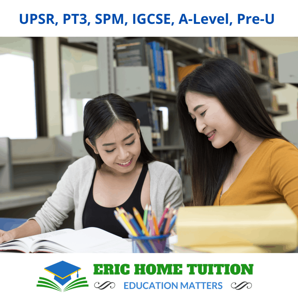 1 to 1 home tuition/ online tuition malaysia