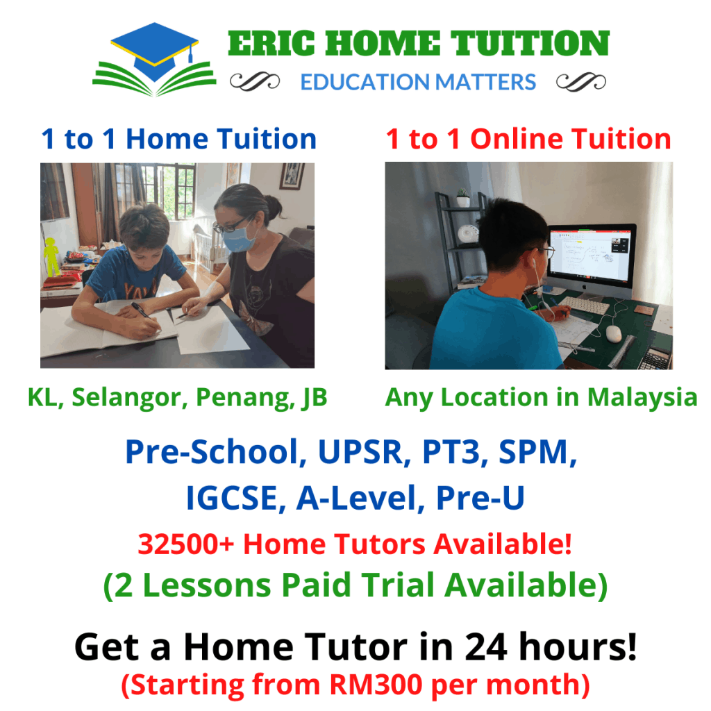 1 to 1 home tuition/ online tuition malaysia