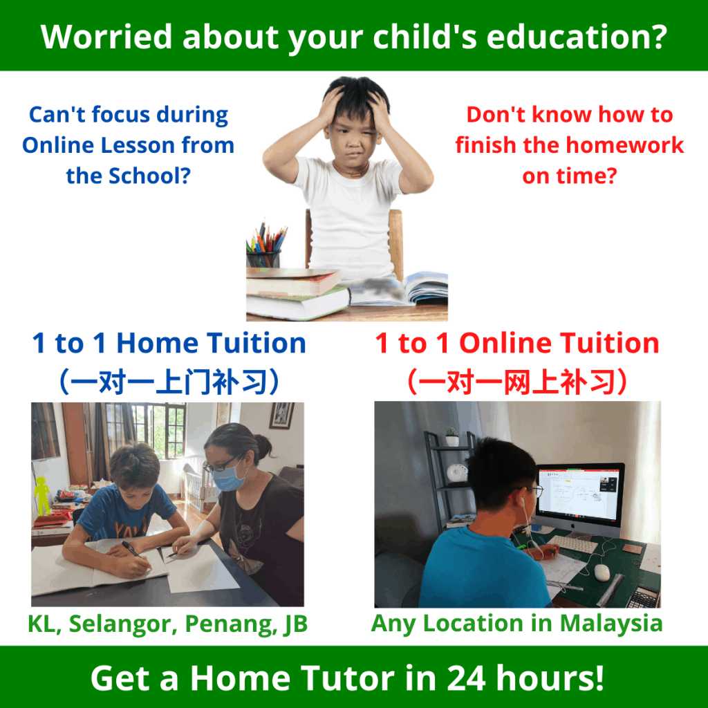 1 to 1 home tuition/ online tuition malaysia