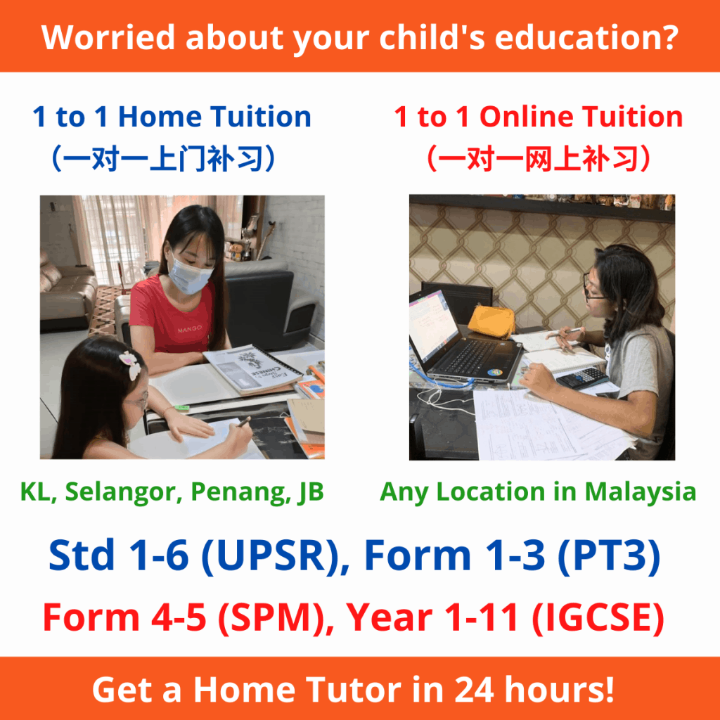 1 to 1 home tuition/ online tuition malaysia