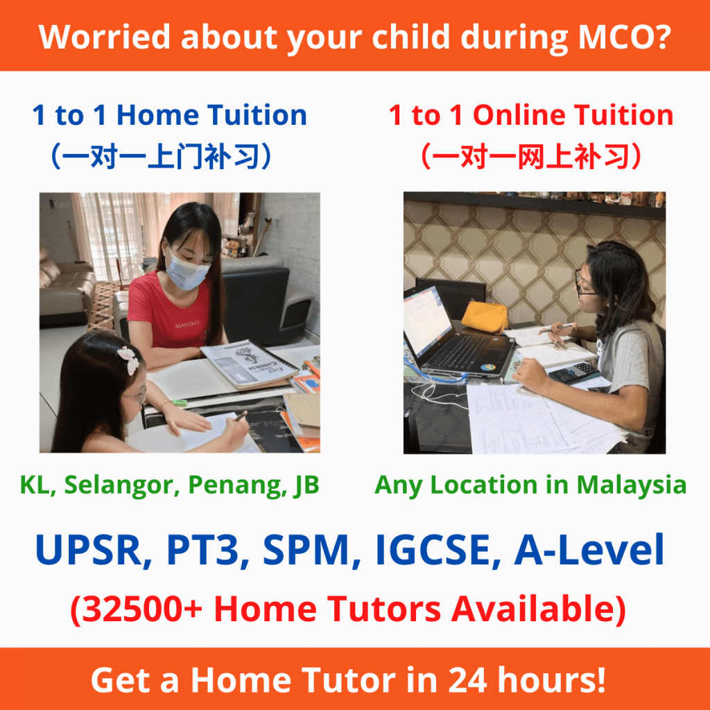 1 to 1 home tuition/ online tuition malaysia