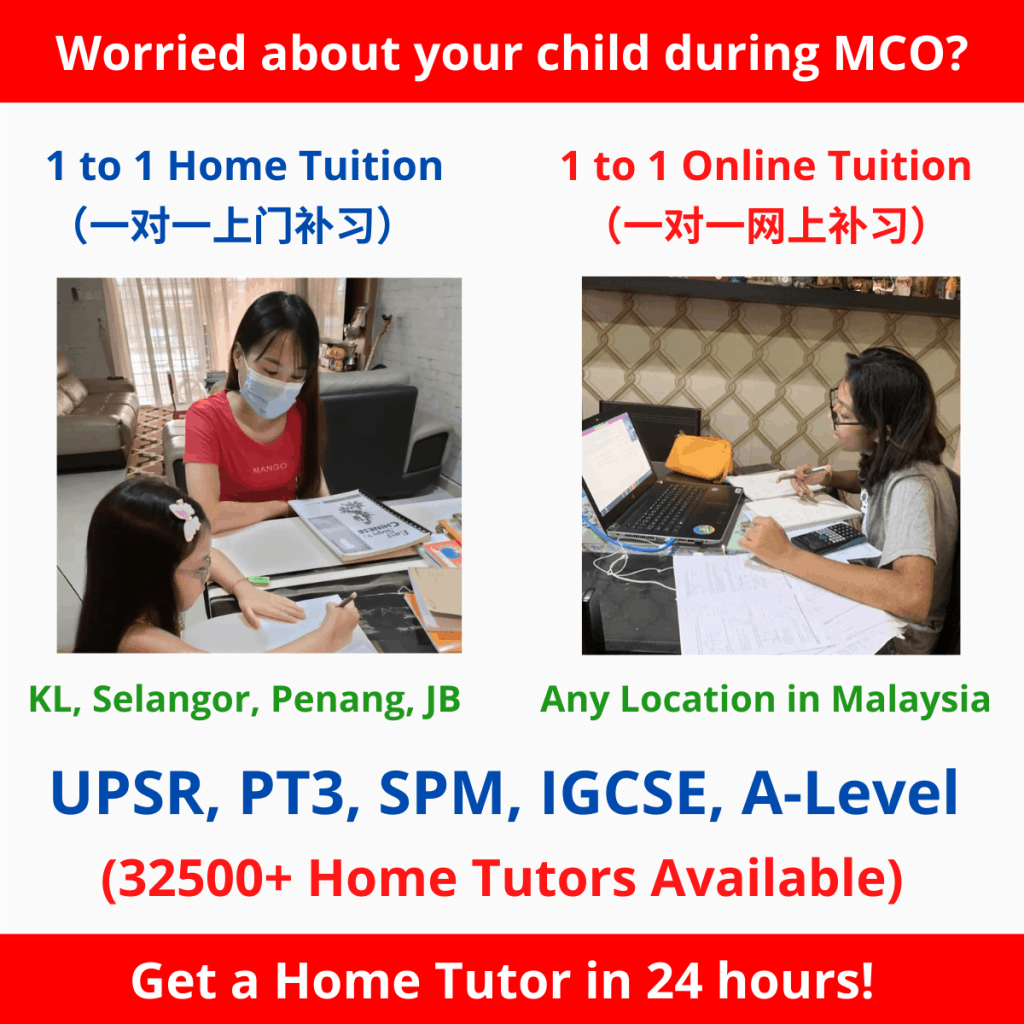1 to 1 home tuition/ online tuition malaysia