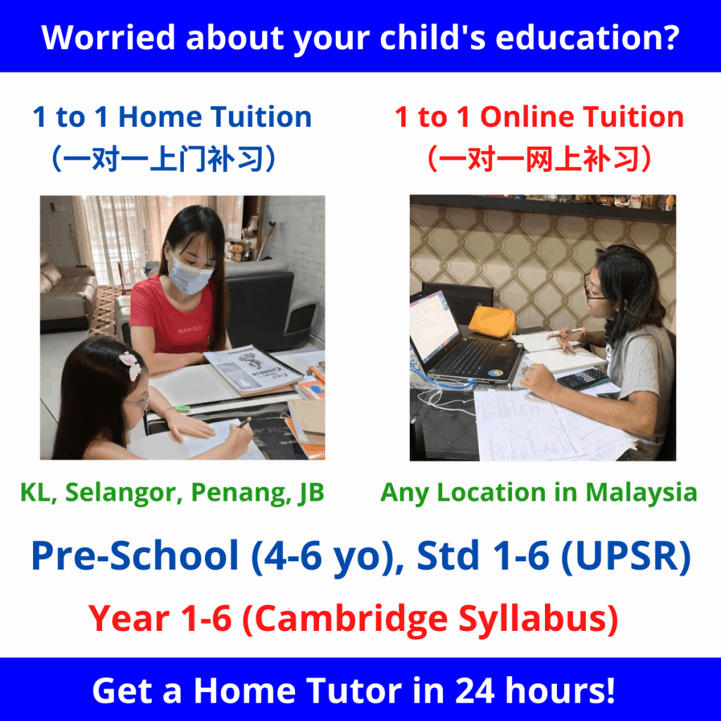 1 to 1 home tuition/ online tuition malaysia