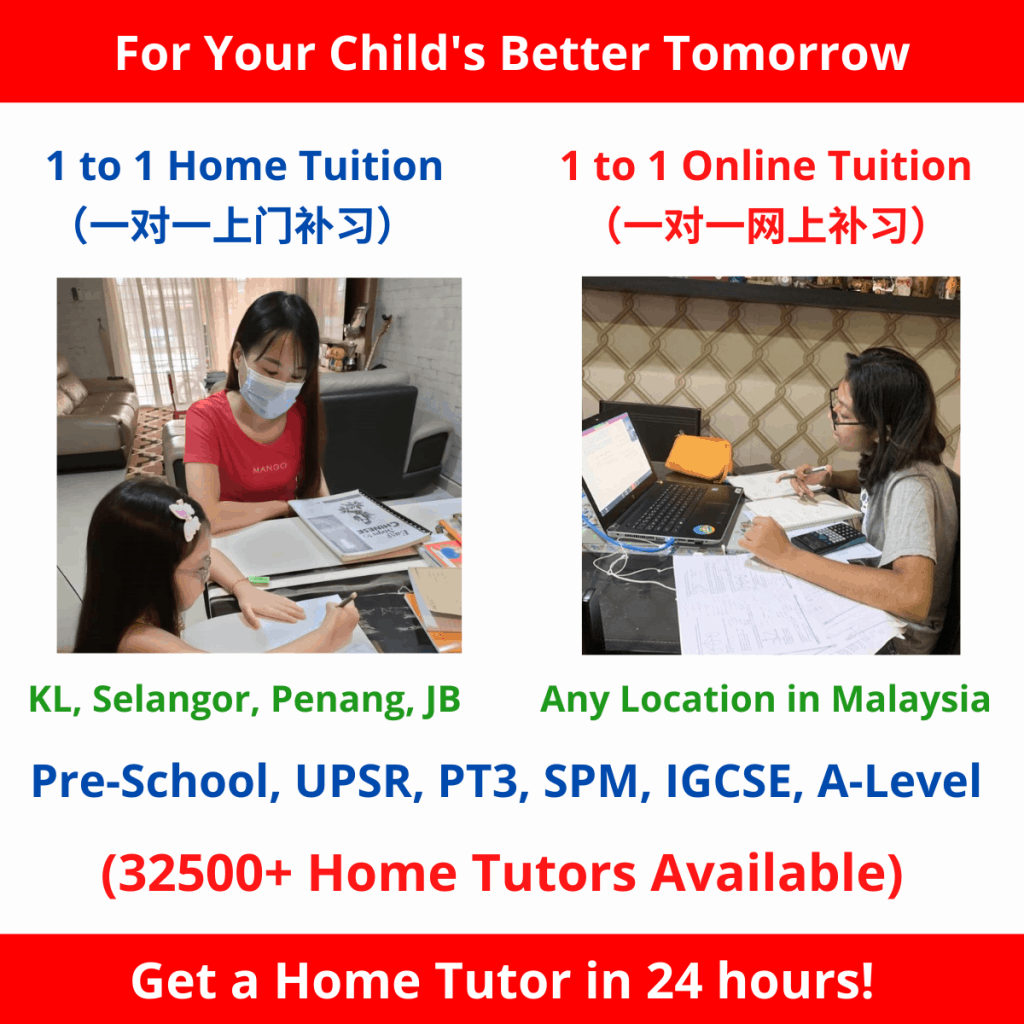 1 to 1 home tuition/ online tuition malaysia