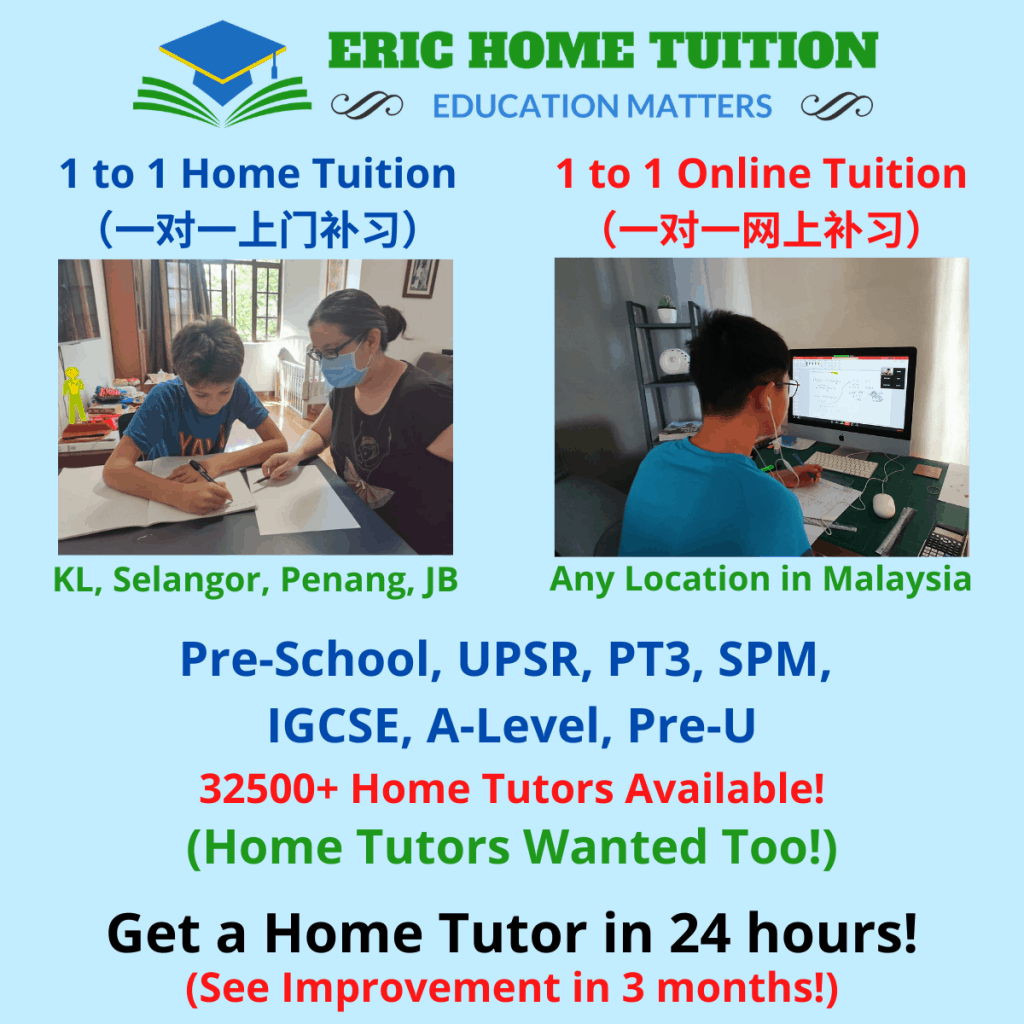 1 to 1 home tuition/ online tuition malaysia