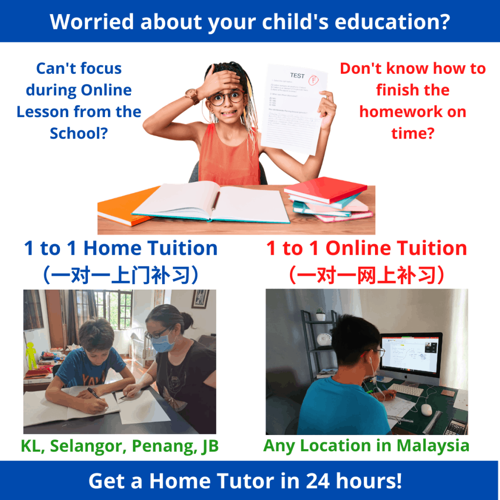 1 to 1 home tuition/ online tuition malaysia